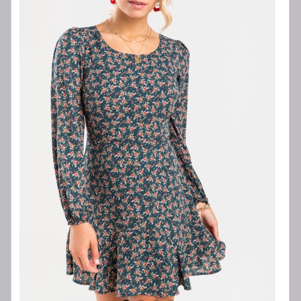 New Francesca’s Zoe Floral Godet Mini Dress